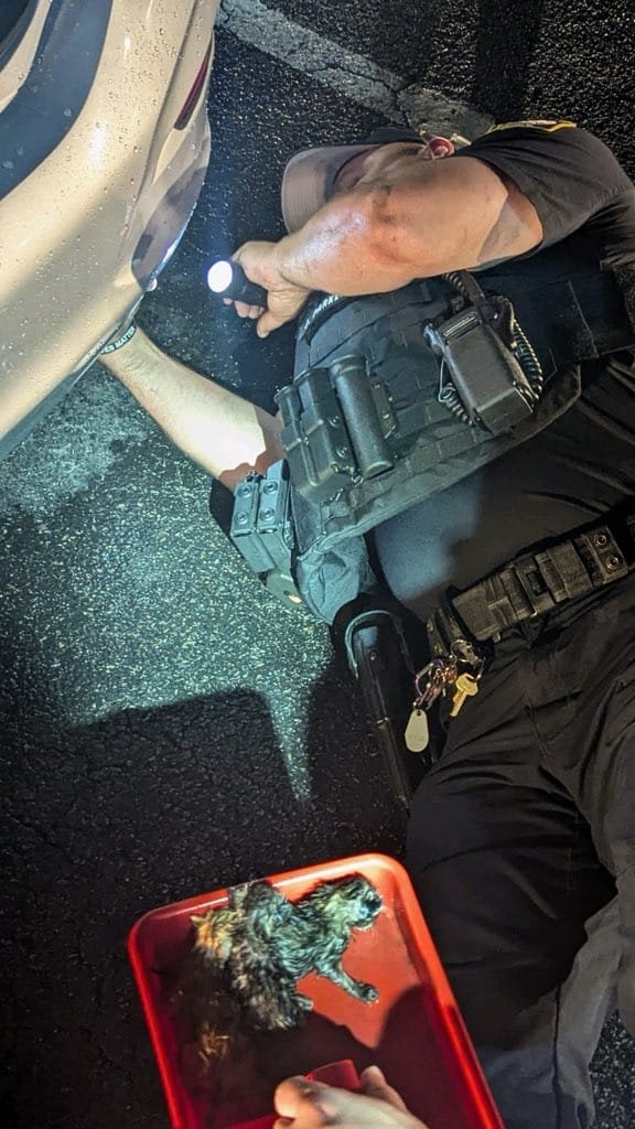 Irmo Police