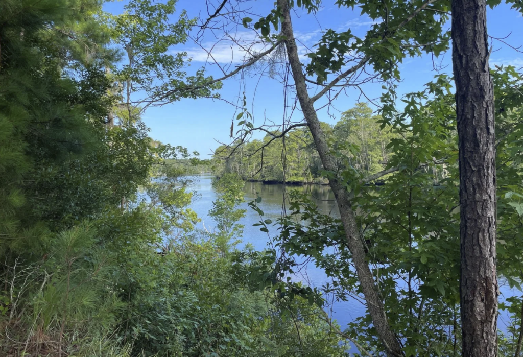 Black River State Park