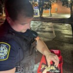 Irmo Police Cats