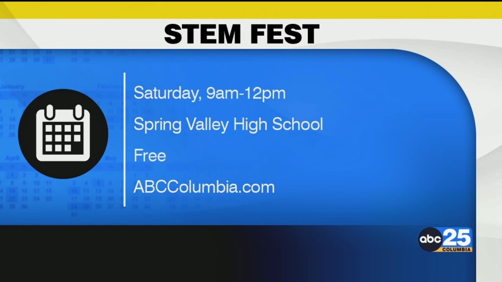 Stem Fun
