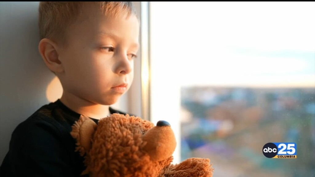 Free "healing Hearts Grief Program" Offers Peer To Peer Therapy For Kids, Young Adults