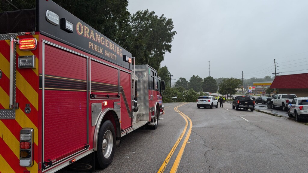Orangeburg Downed Tree 1