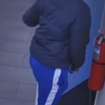 Orangeburg County break-in