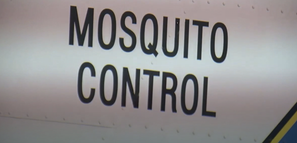 mosquito control