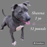 Shawna