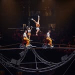 Ringling Bros. and Barnum & Bailey