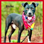 Blake