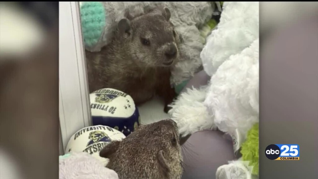 Groundhog Winds Up In Claw Machine