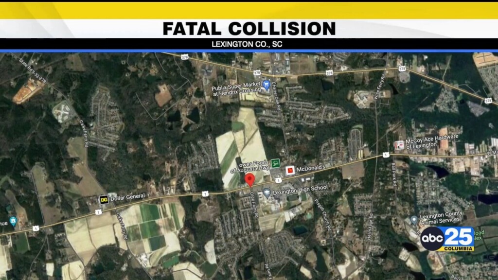 Schp: 1 Dead After Lexington County Collision