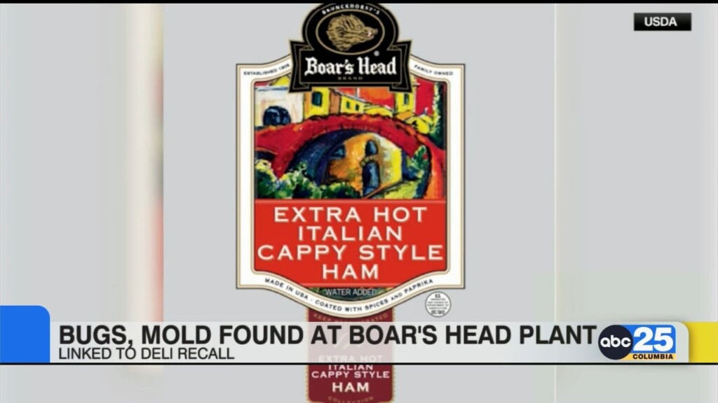 Bugs, Mold Found At Boar's Head Plant