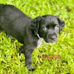 Winnie