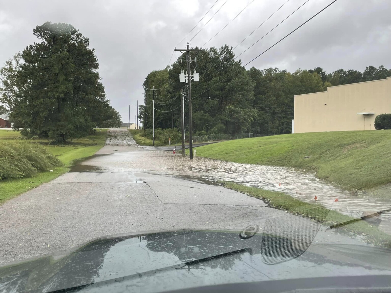 Chapin down trees ABC Columbia