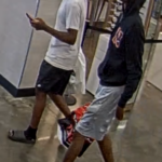 Lex Theft 1