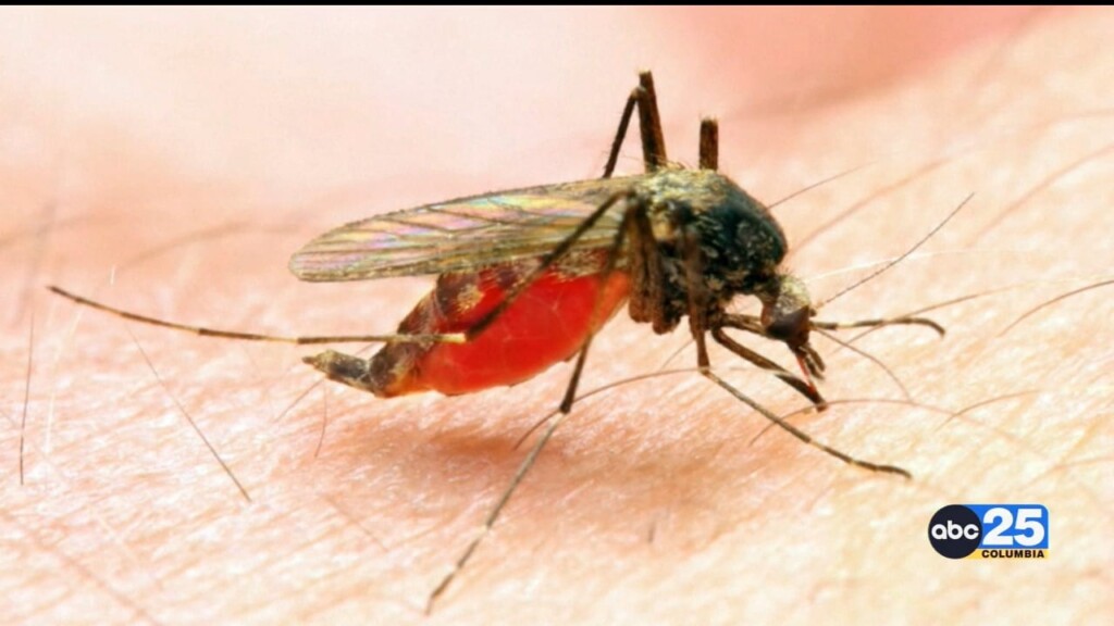 Mosquito Virus