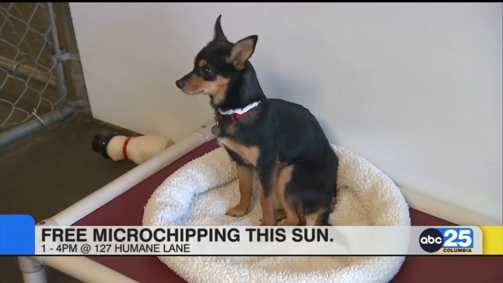 Columbia Animal Services Offering Free Microchipping For Pets
