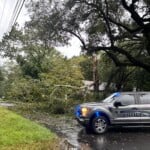 Sumter Fallen Trees