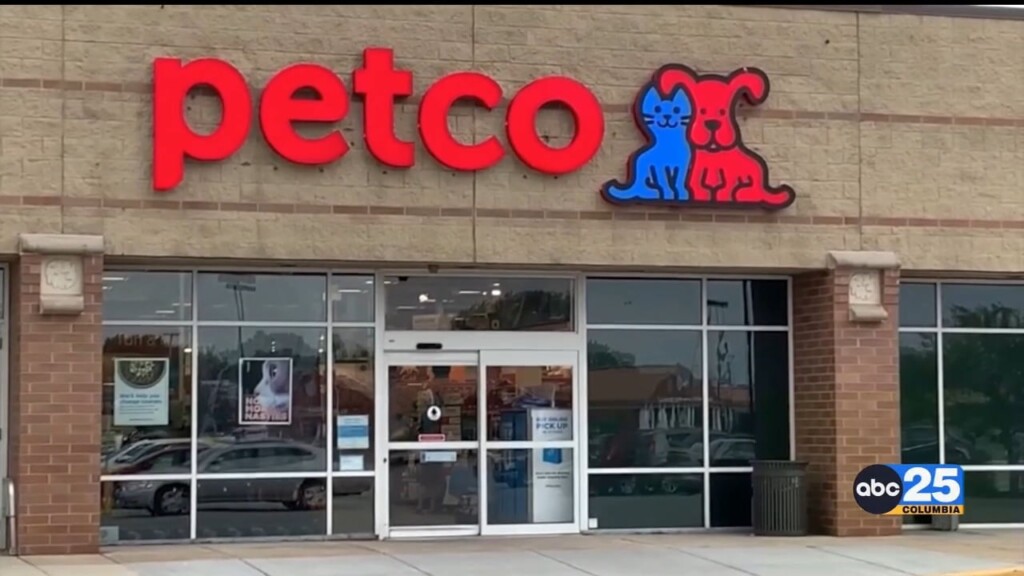 Petco Recommits To Adoption Only For Rabbits