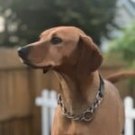 Annie