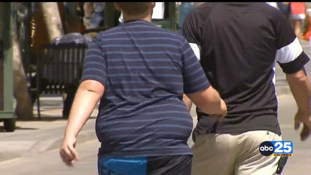 Alarming Rates Of Obesity Remain Across Sc, According To Latest Report