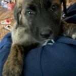 Duncan