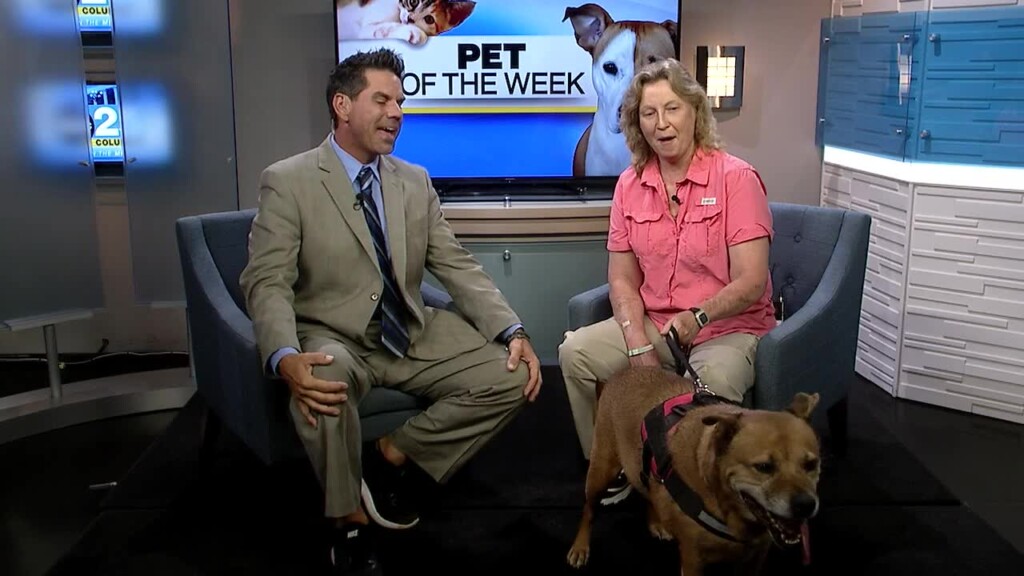 Pet Of The Week Boccus
