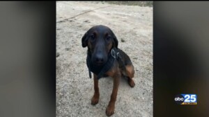 Lee Co. Mourning K9