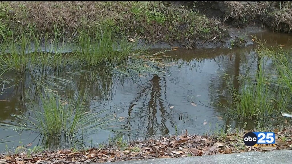 Sc Governor Signs Executive Order “water Sc”