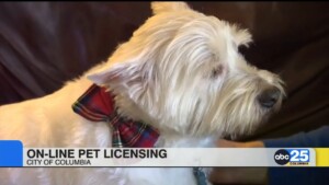 City Of Columbia Launches Online Pet Licensing