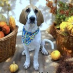 Waylon