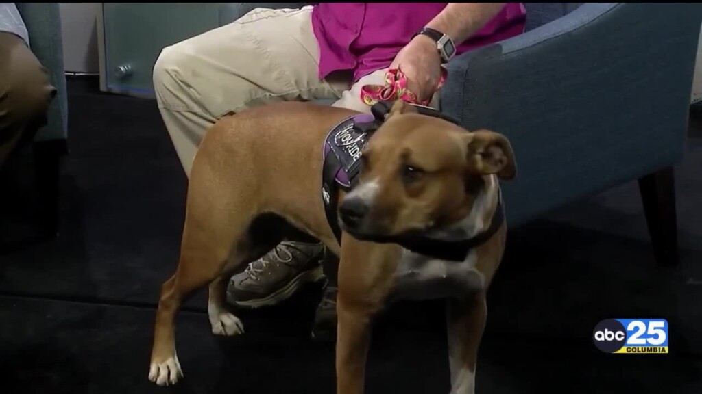 Pet Of Week