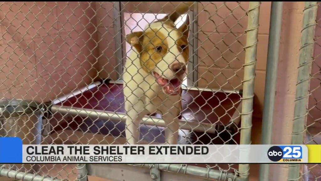 Columbia Animal Shelter Extends Shelter Initiative