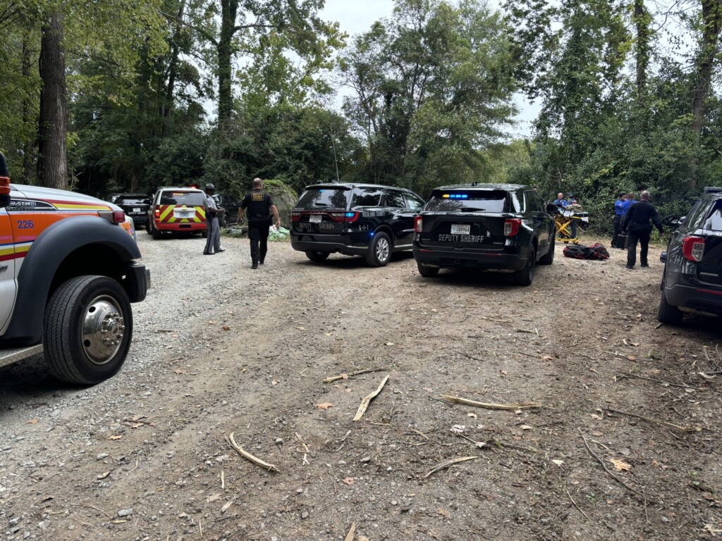 Woman drove over man