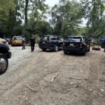 Woman drove over man