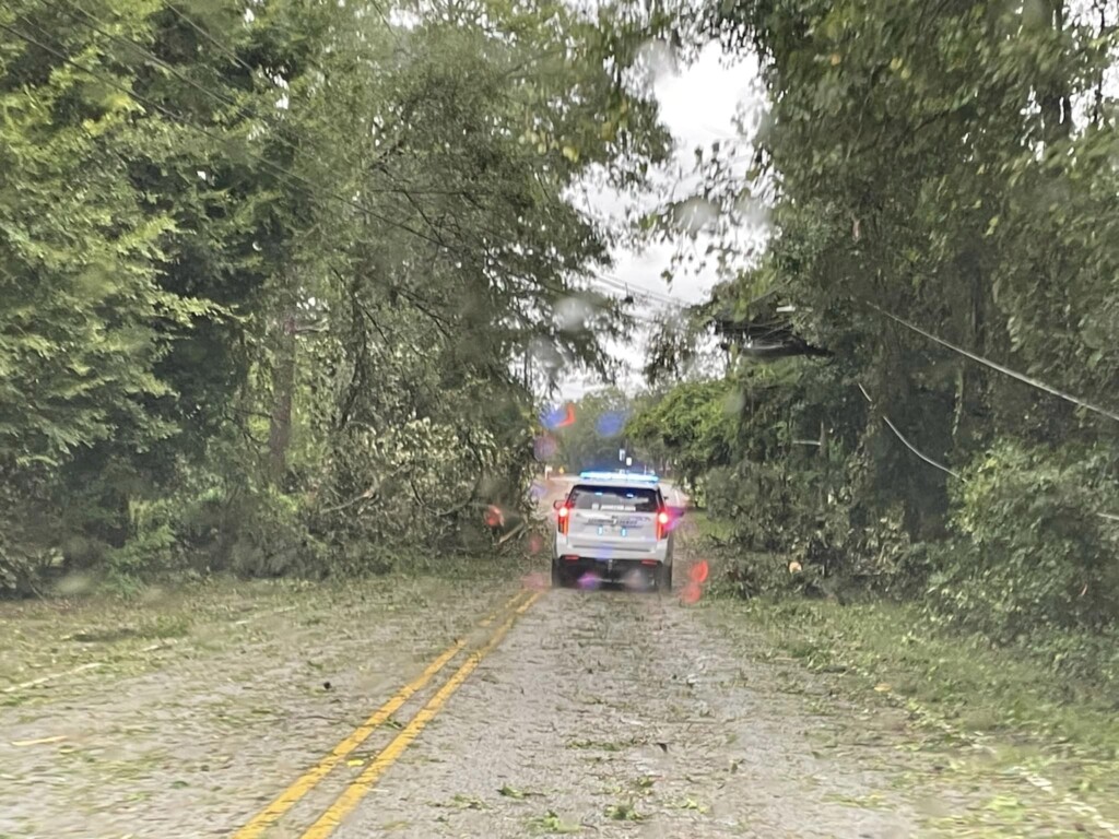 Chapin down trees ABC Columbia