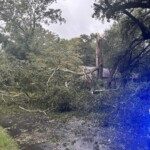 Sumter Fallen Trees 1