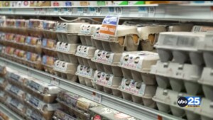 Egg Prices Spiking Again Due To Bird Flu