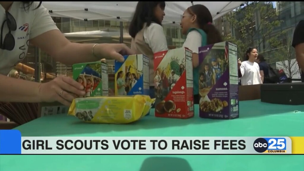 Girl Scouts Vote To Raise Fees