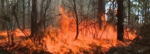 Burning Ban For 20 Counties In Sc