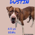 Dustin
