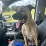 Murphy