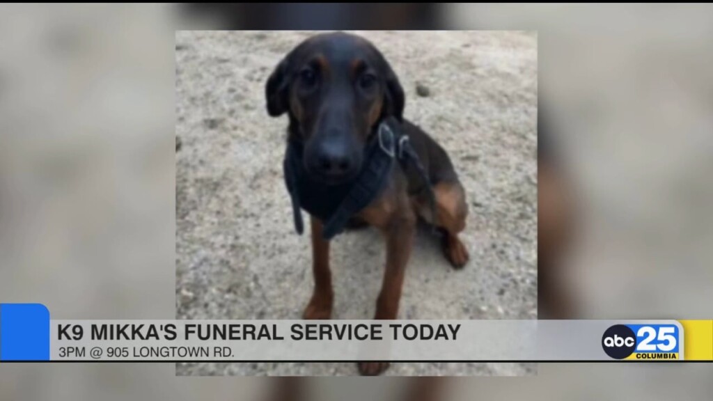 K9
