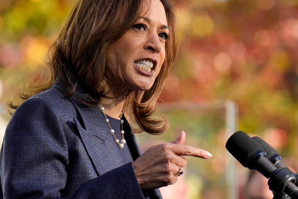 Election 2024 Harris