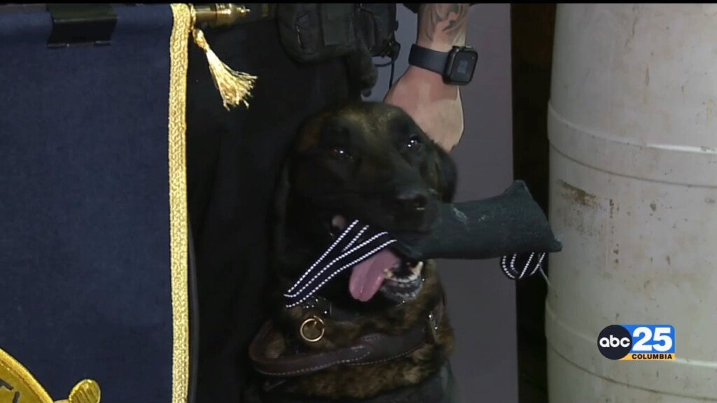 K9 Kobe