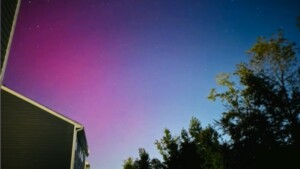 Northern Lights In Cola