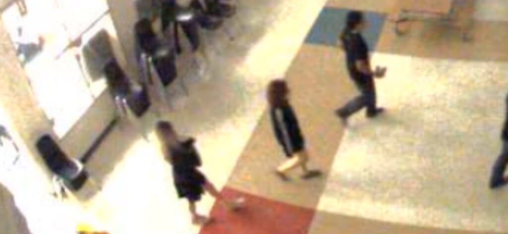 Lcsd Break In 2