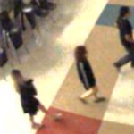 Lcsd Break In 2