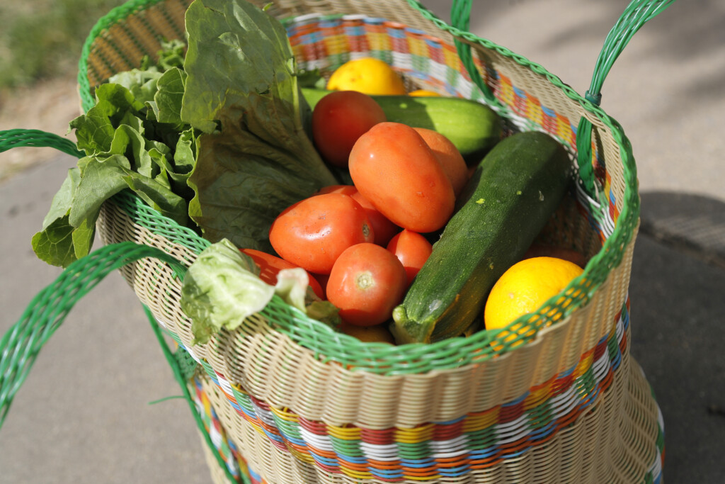 Bus Drivers Food Distribution