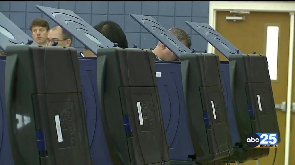"turnout Has Been Record Breaking," Over Half A Million South Carolinians Cast Ballots Ahead Of Election Day