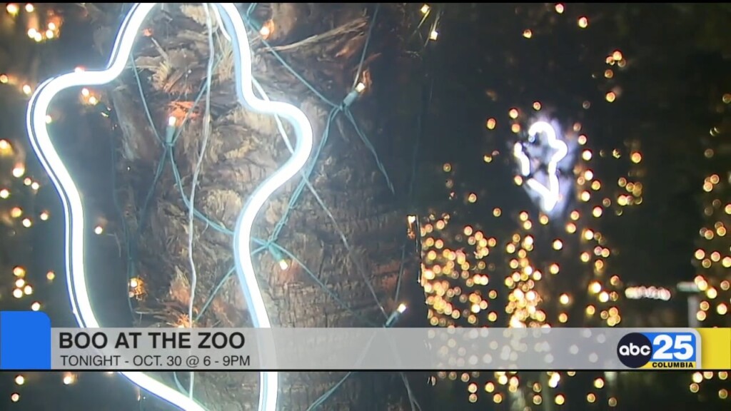 Boo At The Zoo