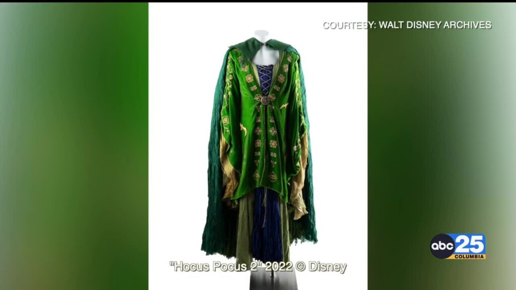 State Museum's Newest Exhibition Will Showcase Over 70 Iconic Disney Costumes